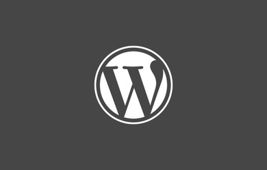 Wordpress plugin