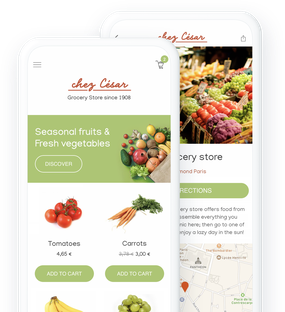 grocery app example